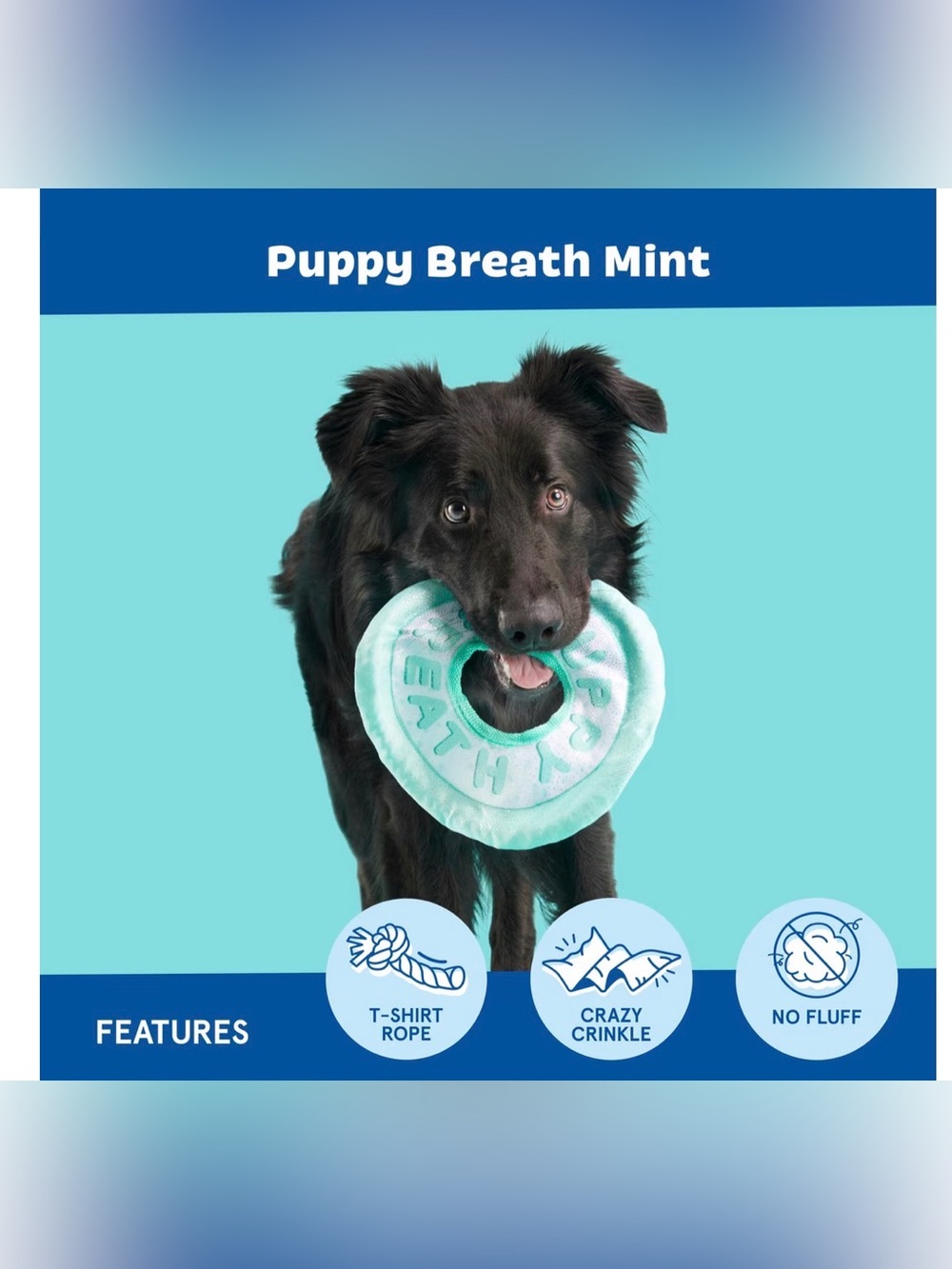Bark Box maximum zoomies puppy breath mint frisbee dog toy NEW
